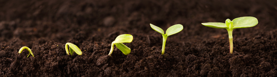Growtivation