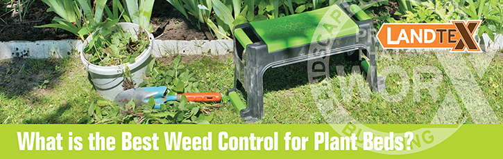 What is the Best Weed Control for Plant Beds?