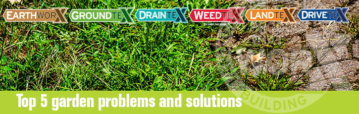 Top 5 garden problems and solutions