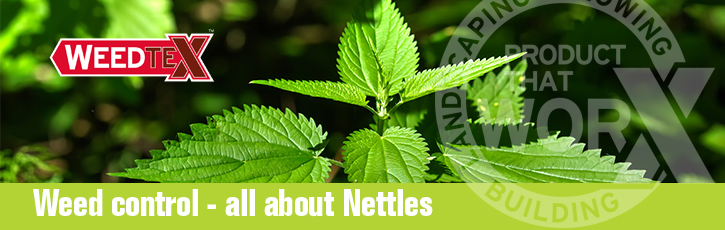 Weed control – all about nettles