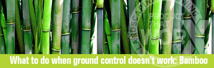 What to do when ground control doesn’t work: Bamboo